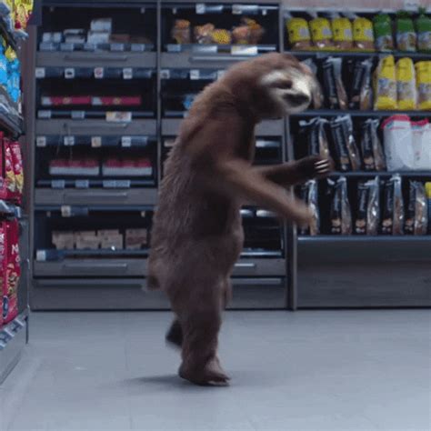 dancing sloth gif.